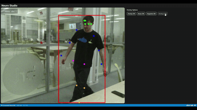 Neuro Studio showing live inference from Neuro N6